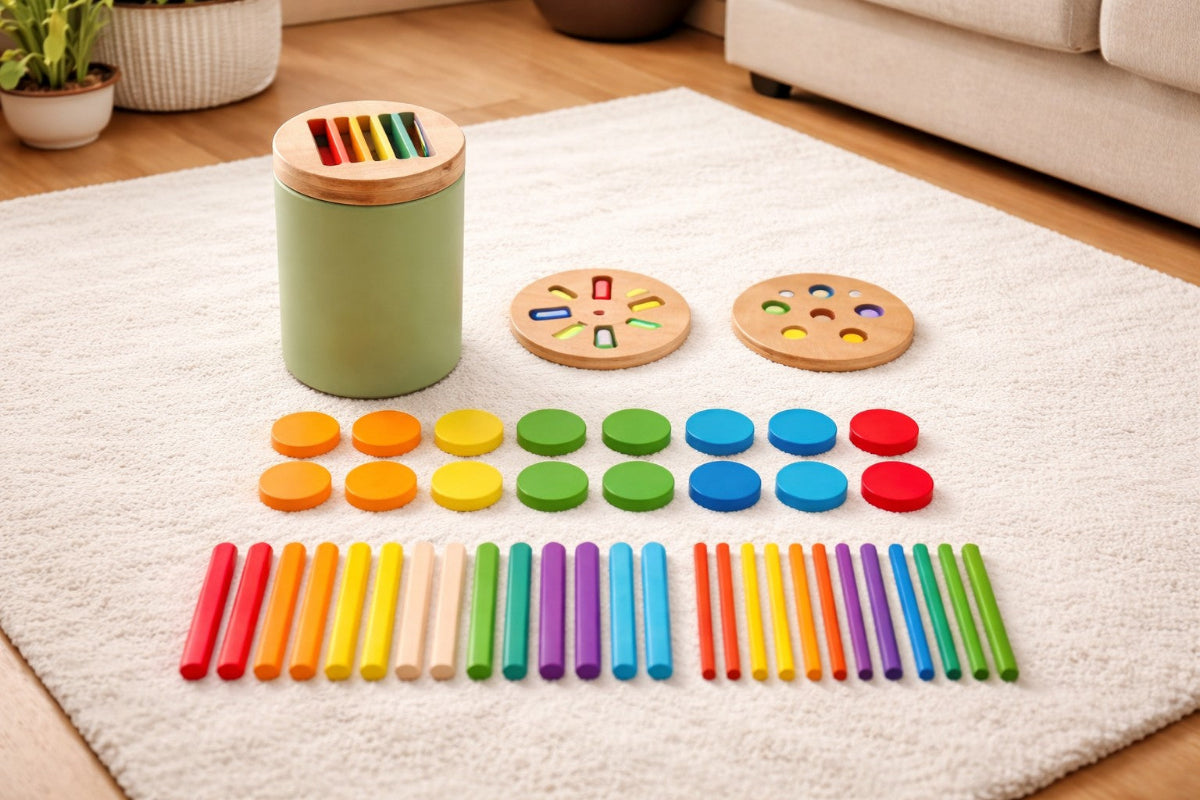Toddler Montessori Sorting Toy